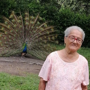 Meet your Posher, Juan david